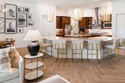 New Homes in Apollo Beach, FL