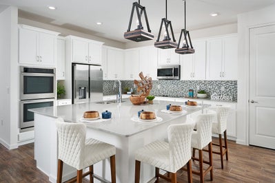 Highfield at Twisted Oaks New Homes in Wildwood, FL