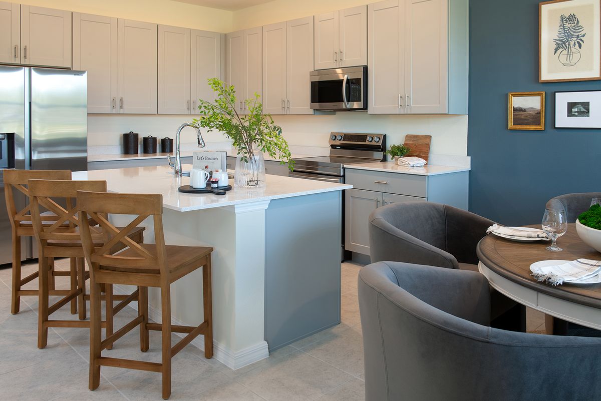 Imagine Kitchen. Fruitland Park, FL New Homes