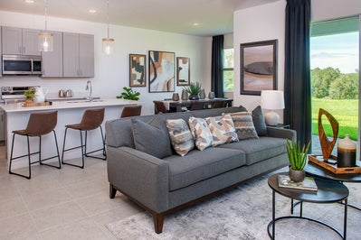 Leela Evolve Grande. New Homes in Tavares, FL