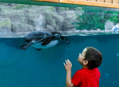 Seaworld. New Homes in Orlando, FL