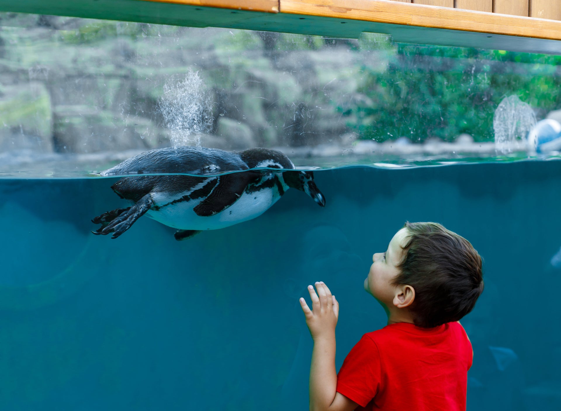 Seaworld. New Homes in Orlando, FL