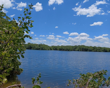 Marisol Pointe at MiraBay Signature Series New Homes in Apollo Beach, FL